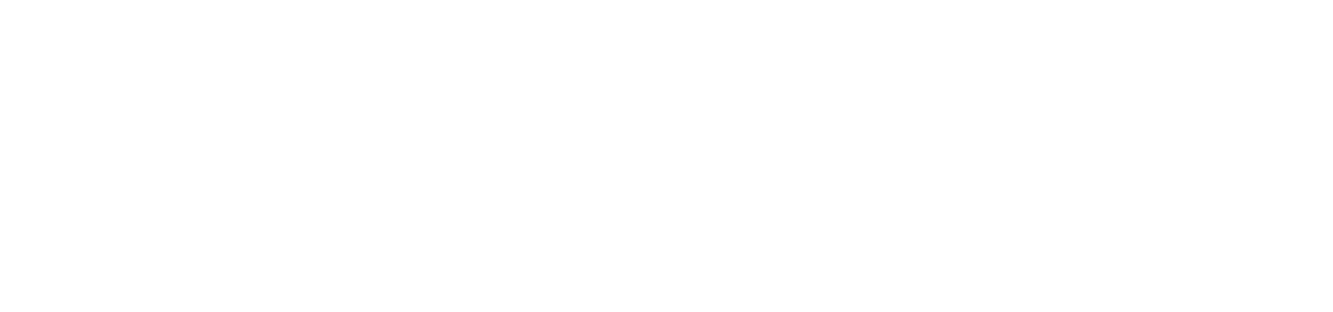 BIP WEB