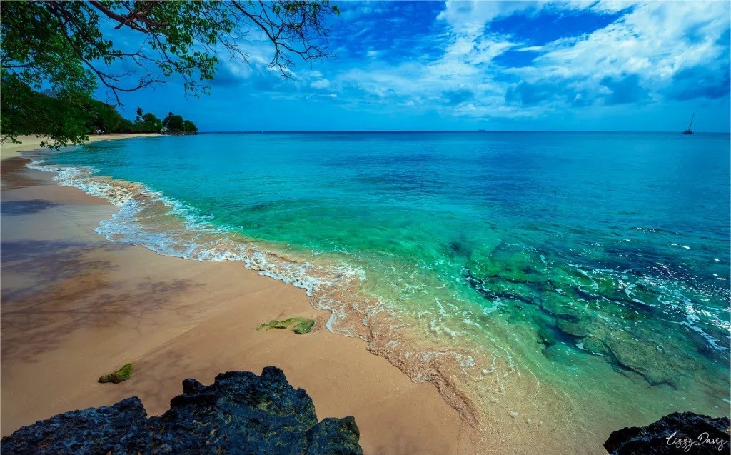 Royal Westmoreland Royal Villa 8 Ocean