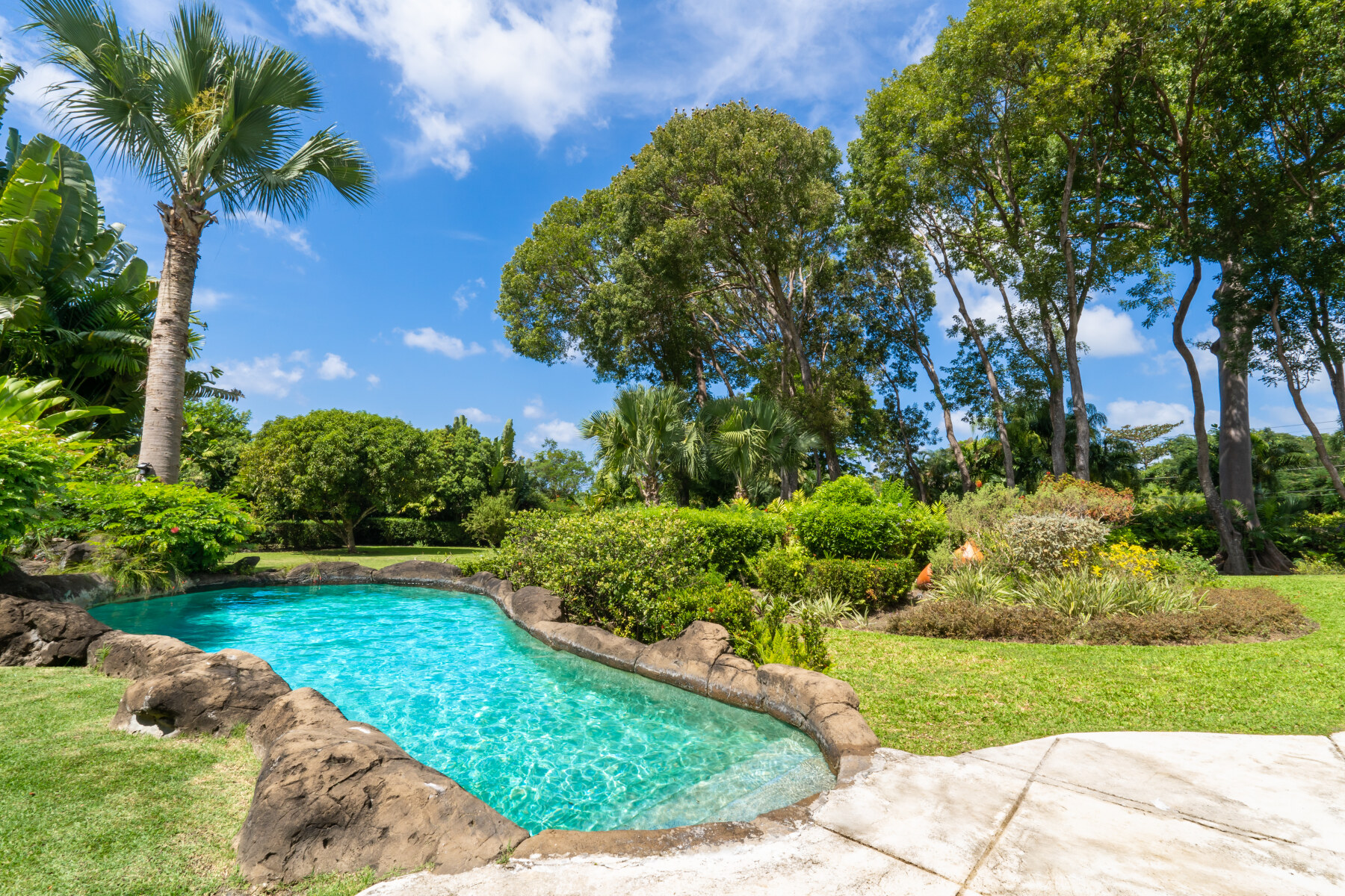 Ceiba Sandy Lane Private Pool