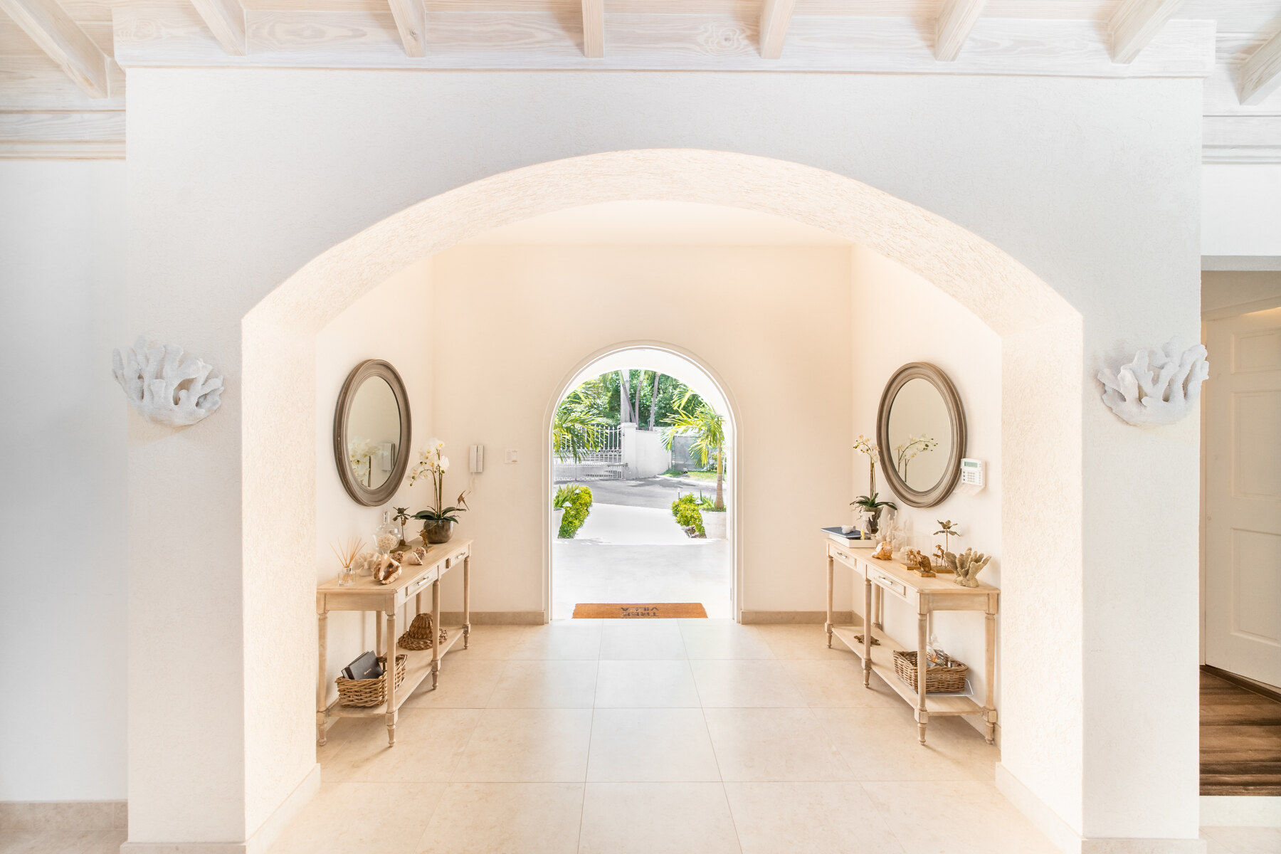 Palm Tree Indoor Entry way