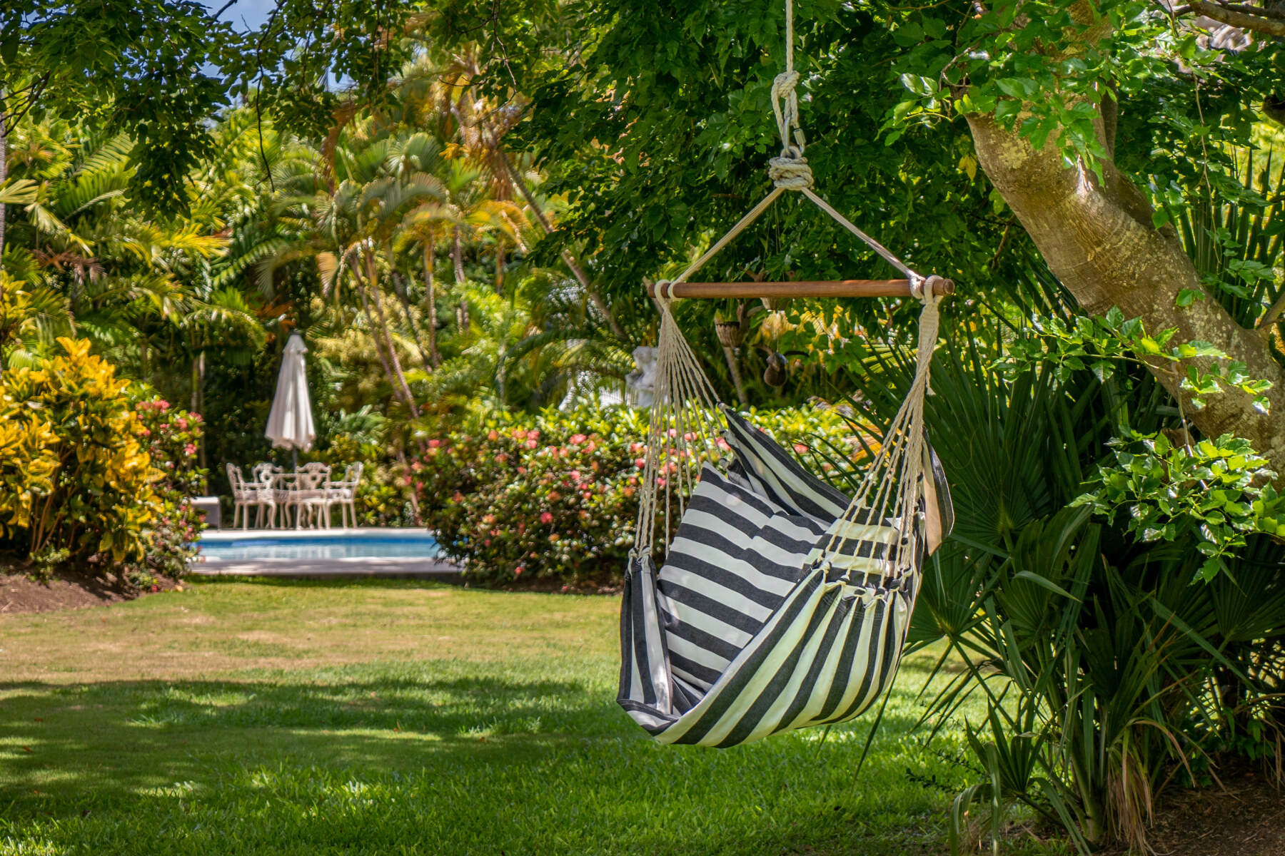Palm Tree Villa Garden hammock