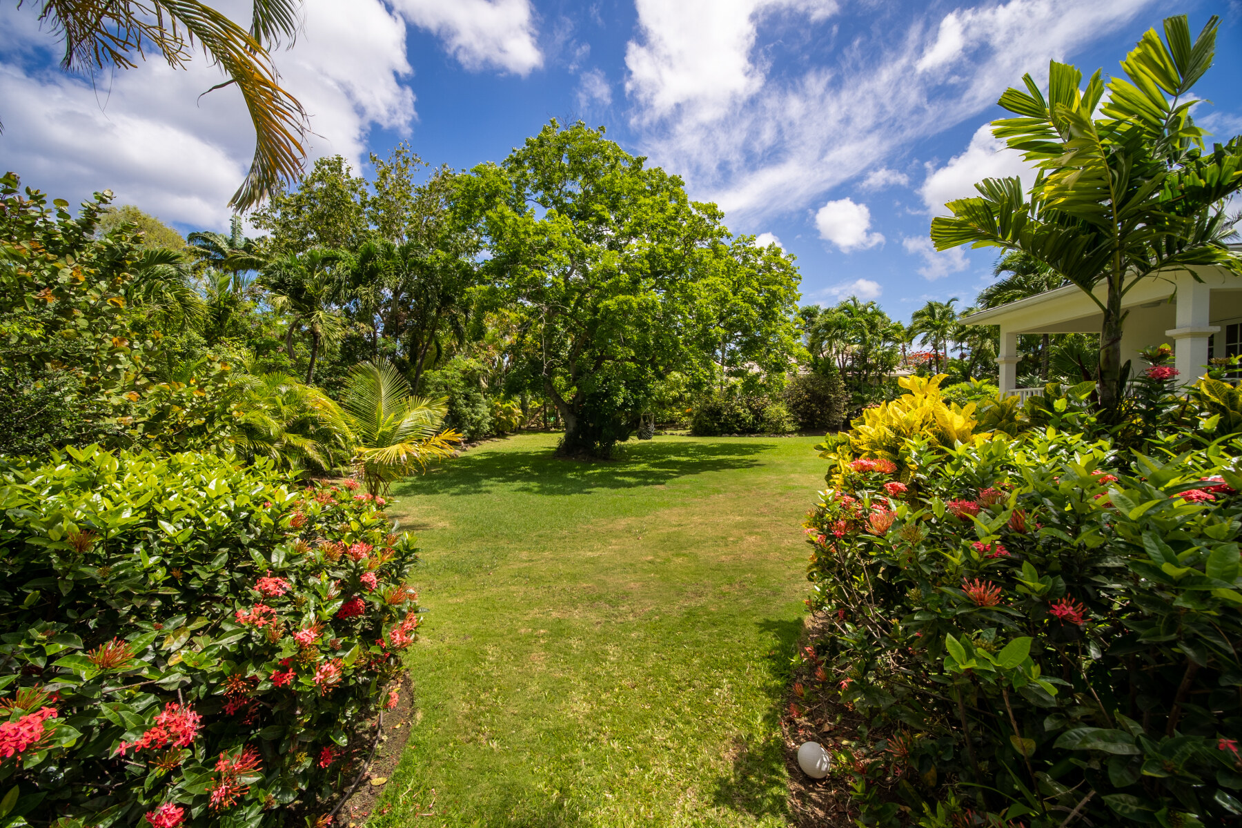 Palm Tree Villa Garden