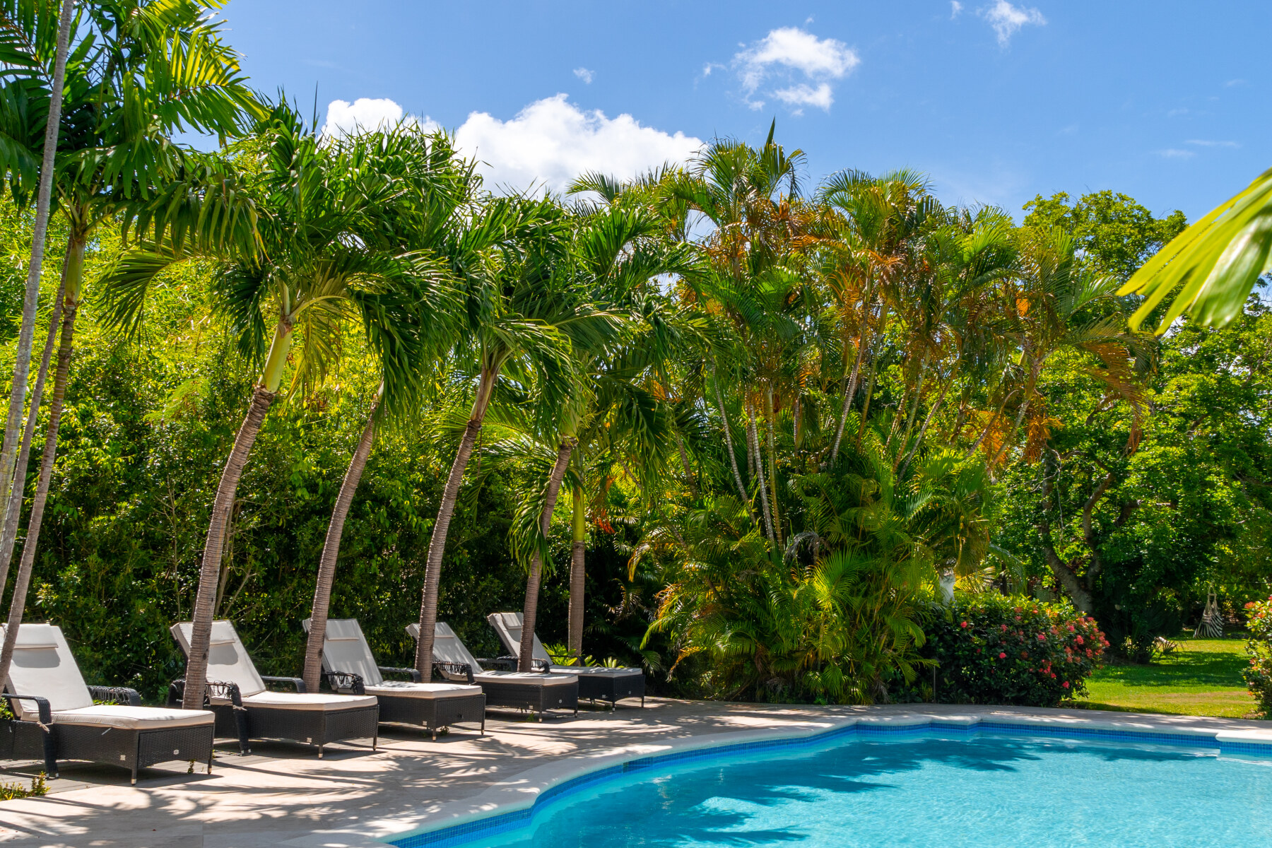 Palm Tree Villa Sun loungers