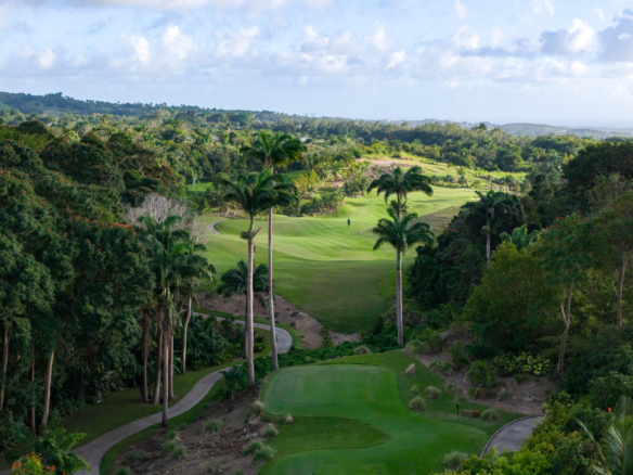 APES HILL GolfCourse DJI 20260307211029 0042