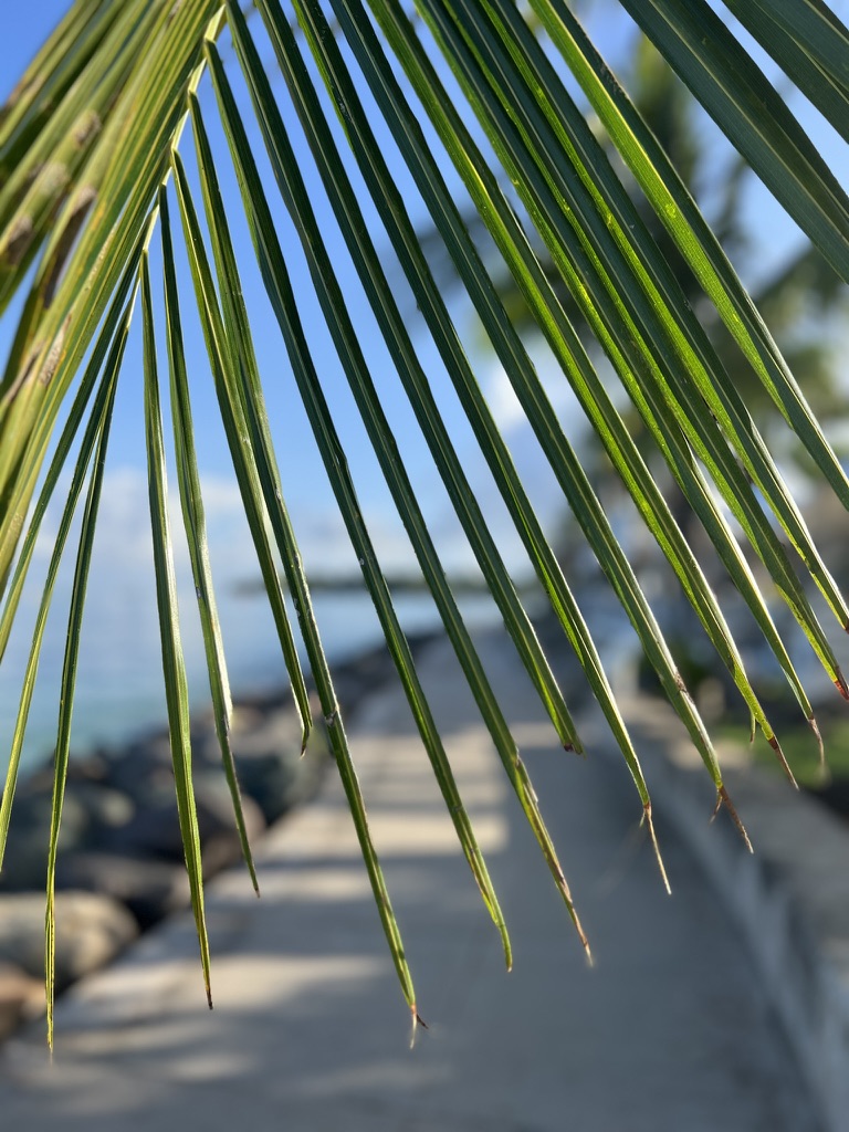 HOLETOWNBEACHPATH
