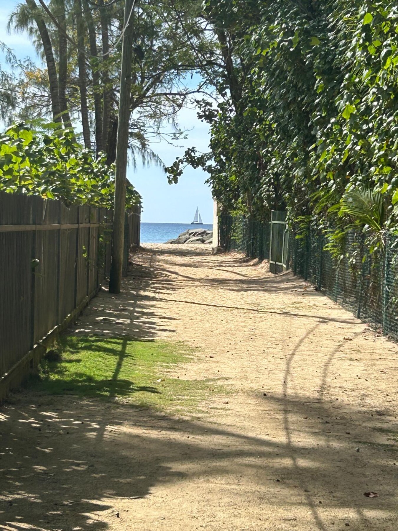 Honeycomb Beach Path