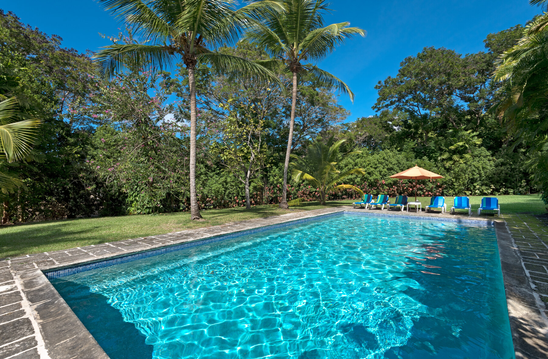 Sandy Lane Evergreen pool