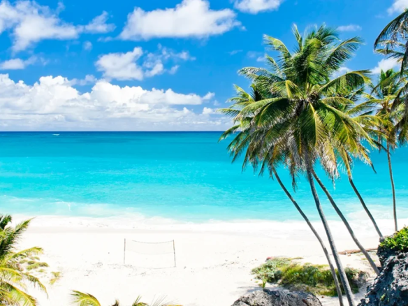 Speightstown Olivers travels