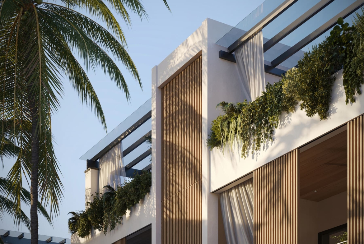 6 Porters Palms Barbados closeup LR