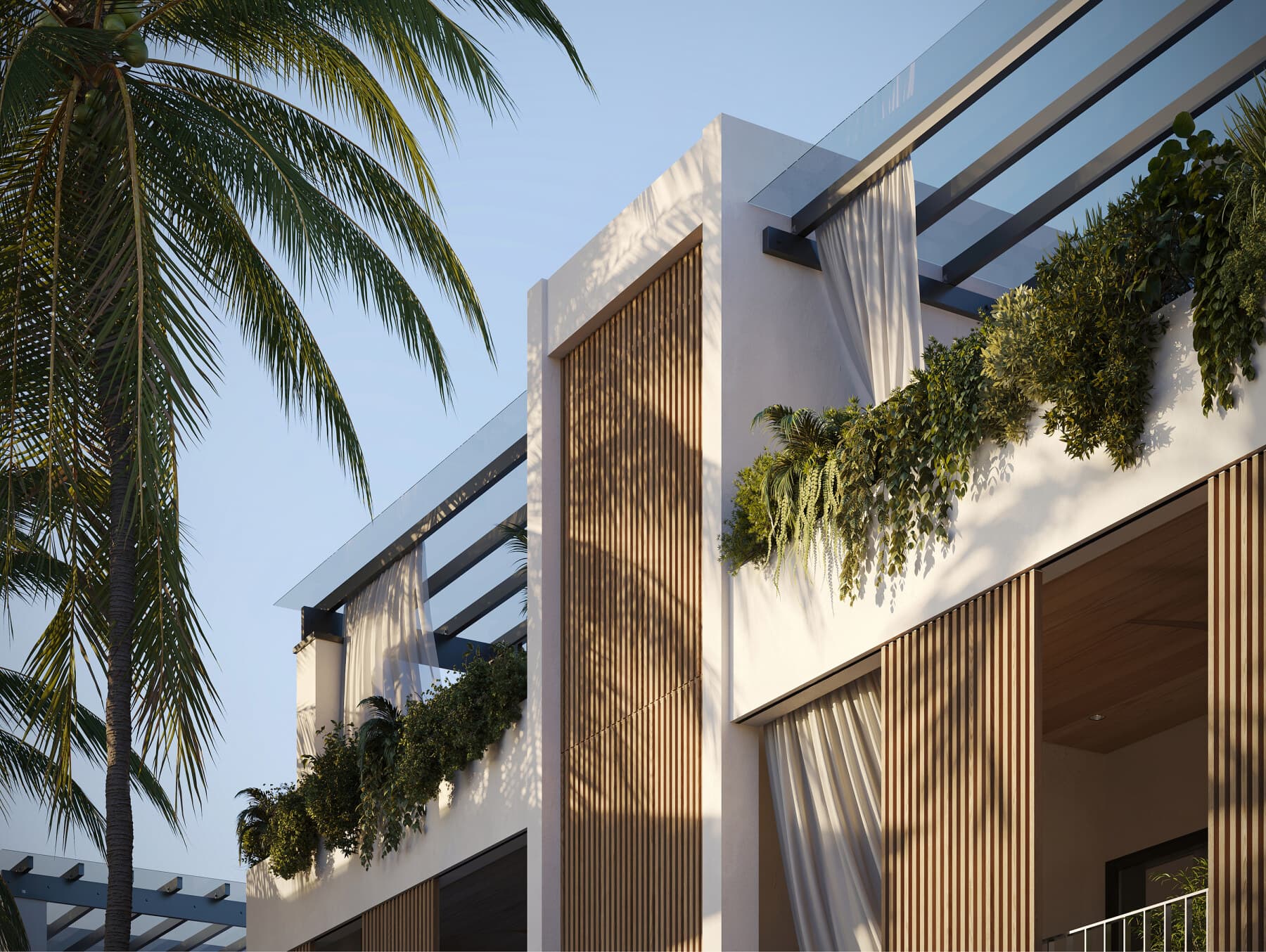 6 Porters Palms Barbados closeup LR
