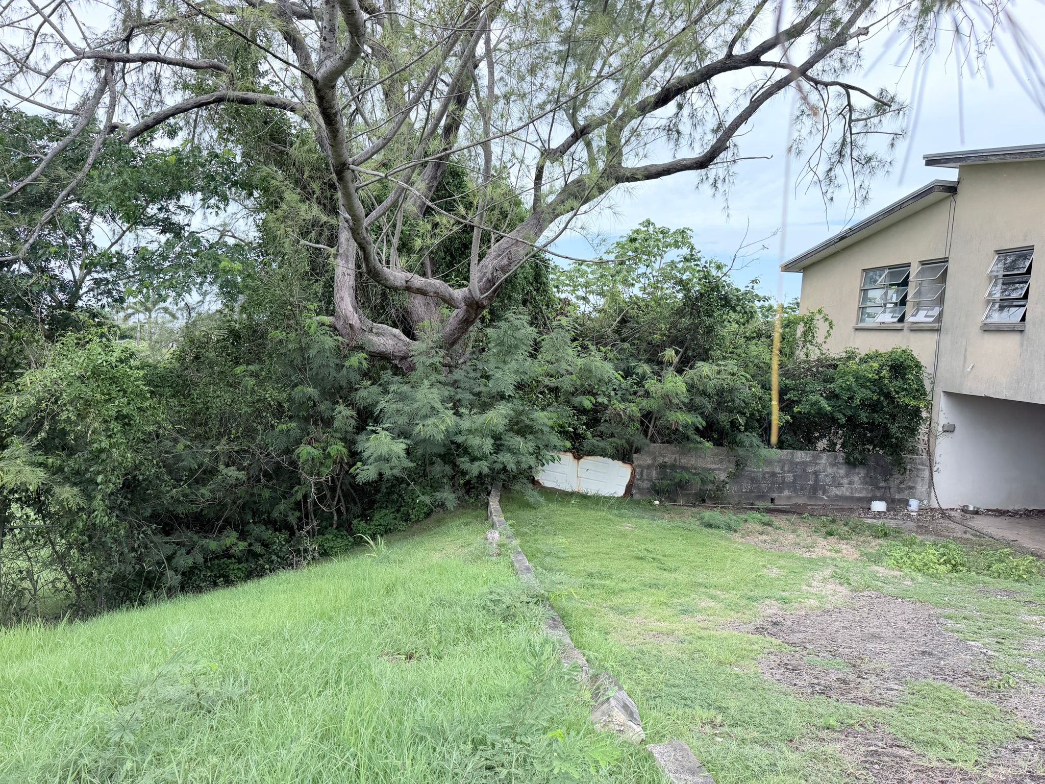 PHOTO 2026 08 28 19 25 33 18