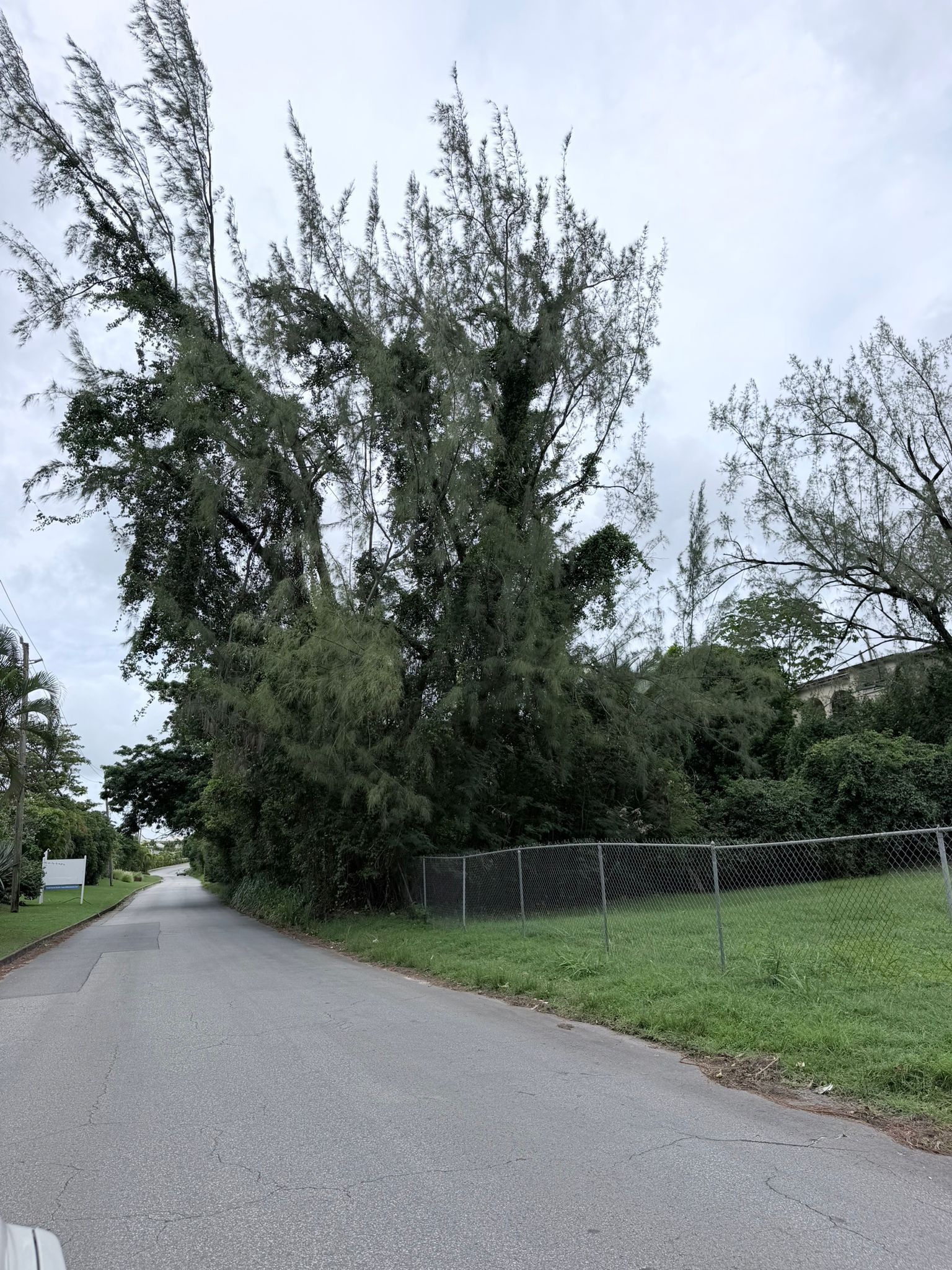 PHOTO 2026 08 28 19 25 33 20